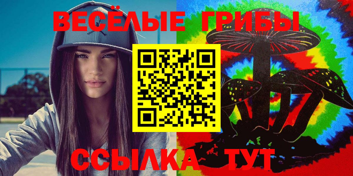 Галлюциногенные грибы Psilocybe  Вход с VPN  Гатчина 