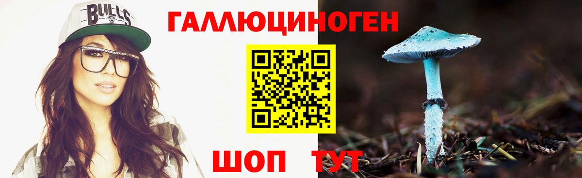 Псилоцибиновые грибы Magic Shrooms Гатчина