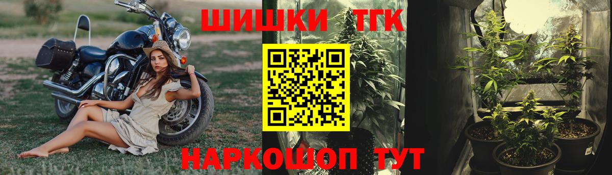 Конопля сатива Гатчина